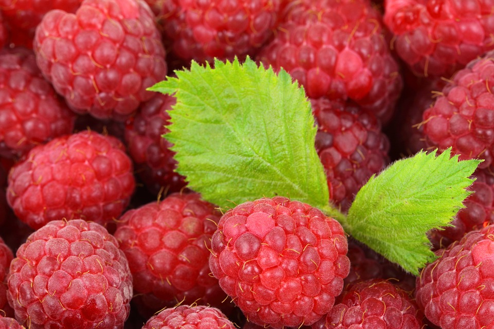 berry