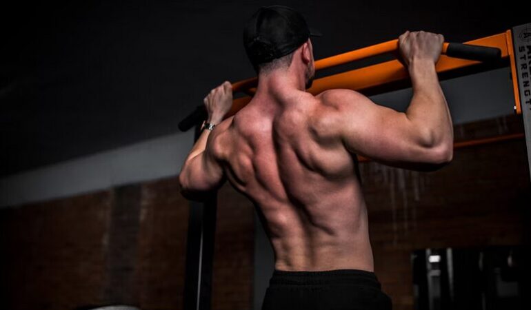 back muscle